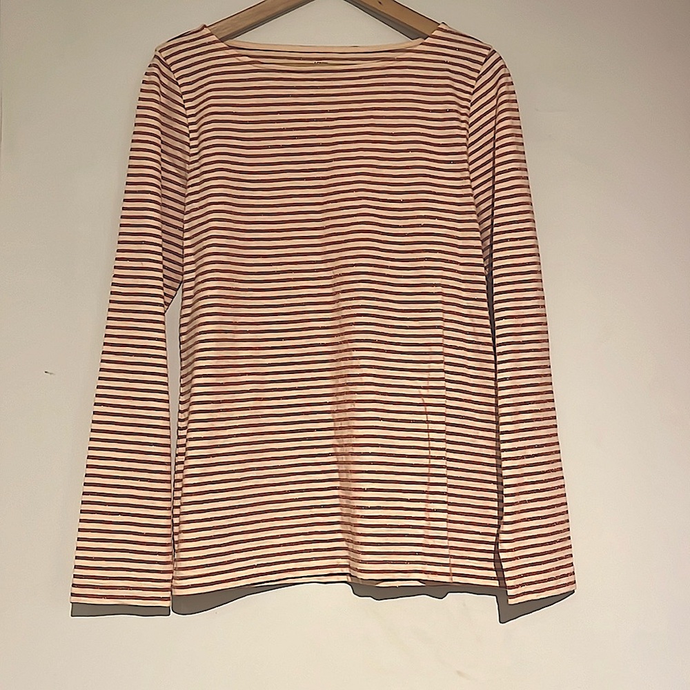 J Crew Women L Artist T with bronze sparkle stripes